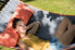 Фото #3 товара Amazonas AZ-6010130 - Frame hammock - 160 kg - 1 person(s) - Cotton - Polyester - Grey - Wood