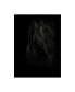 Фото #1 товара PhotoINC Studio Black Pearl Canvas Art - 19.5" x 26"