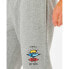 RIP CURL Search Icon Sweat Pants