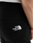 Фото #3 товара The North Face Horizon cargo shorts in black