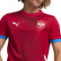 Фото #5 товара Puma Fss Crew Neck Short Sleeve Home Soccer Jersey Replica Mens Red 77430001