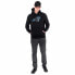 Фото #3 товара NEW ERA NFL Team Logo Carolina Panthers Hoodie