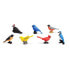 SAFARI LTD Backyard Birds Toob Figure