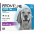 Фото #1 товара Пипетка для собак Frontline Spot On 20-40 Kg