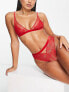 ASOS DESIGN Viv lace and mesh triangle bra with velvet trim in red