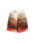 Women's Printed High Waisted Shorts