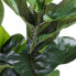 Фото #3 товара Kunstpflanze Ficus Lyrata