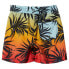 Фото #2 товара QUIKSILVER Mix Vly 12´´ Swimming Shorts
