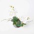 Фото #9 товара Искусственные цветы Homescapes Künstliche weiß-gelbe Phalaenopsis