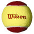 Фото #2 товара WILSON Starter Tennis Ball 36 Units