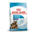 Фото #1 товара ROYAL CANIN Shn maxi starter mother & baby 4 kg dog food