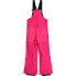 Фото #2 товара SPYDER Scout Bib Pants