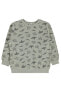 Фото #4 товара Erkek Çocuk Sweatshirt 2-5 Yaş Gri