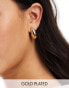 Фото #1 товара Accessorize Z collection gold plated ridge hoop earrings in gold