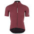 Q36.5 Pinstripe PRO short sleeve jersey