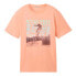 TOM TAILOR Regular Printed short sleeve T-shirt Clear Coral, M - фото #1