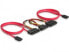 Delock SATA All-in-One cable for 2x HDD - 0.5 m - Red