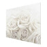Bild Weiße Rosen