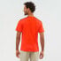 ფოტო #4 პროდუქტის SALOMON Outline short sleeve T-shirt