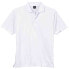 Фото #1 товара Page & Tuttle Dot Texture Jersey Solid Short Sleeve Polo Shirt Mens Size L Casu