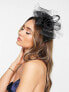 Фото #1 товара True Decadence floral fascinator in black