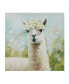 Фото #1 товара Sunshine Animals Llama Canvas Wall Art