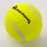 Фото #4 товара Tennis ball Meteor 3pcs 19000