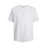 ფოტო #1 პროდუქტის JACK & JONES Noto Back short sleeve T-shirt