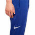 Длинные спортивные штаны Nike Синий Мужской