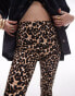 Topshop Petite leopard print legging in brown