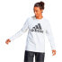 Фото #1 товара ADIDAS Bl Sj long sleeve T-shirt