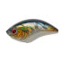 SAKURA SCB 400F Lipless Crankbait 18.4g 65 mm