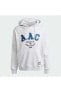 Фото #3 товара Толстовка мужская Adidas HACUK AAC HOOD