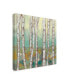 Фото #2 товара Jennifer Goldberger Kaleidoscope Birches I Canvas Art - 15" x 20"