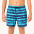 Фото #1 товара OAKLEY APPAREL Blur Stripes RC 16´´ Swimming Shorts