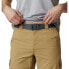 Фото #4 товара COLUMBIA Silver Ridge II Cargo Shorts