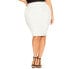 Plus Size Riley Skirt Ivory Pinstripe, 20 - фото #1