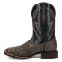 Фото #3 товара Dan Post Boots Alamosa Ostrich Square Toe Cowboy Mens Black, Grey Casual Boots