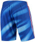 ფოტო #3 პროდუქტის Men's Blue New Jersey Nets Hardwood Classics Swingman Shorts