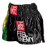 KRF Brazil Flag Muay Thai Shorts