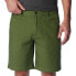 Фото #5 товара COLUMBIA Flex Roc™ Extended Shorts