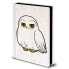 Фото #2 товара PYRAMID A5 Notebook Harry Potter Hedwig