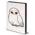 PYRAMID A5 Notebook Harry Potter Hedwig