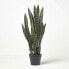 Фото #4 товара Kunstpflanze Sansevieria Trifasciata