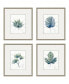 Фото #1 товара Plant Drawings Framed Art, Set of 4