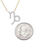ფოტო #5 პროდუქტის Diamond Zodiac Pendant Necklace (1/10 ct. t.w.) in 14K Yellow Gold or 14K White Gold