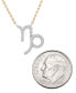 Diamond Zodiac Pendant Necklace (1/10 ct. t.w.) in 14K Yellow Gold or 14K White Gold