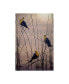 Фото #1 товара Картина холст 'Желтоголовые птицы B' Trademark Global Jeff Tift 24" x 16" x 2"