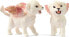 Фото #6 товара Развивающий игровой набор или фигурка для детей Figurka Schleich Schleich Bayala training for winged baby lions, toy figure