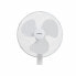 Freestanding Fan Oceanic 684161